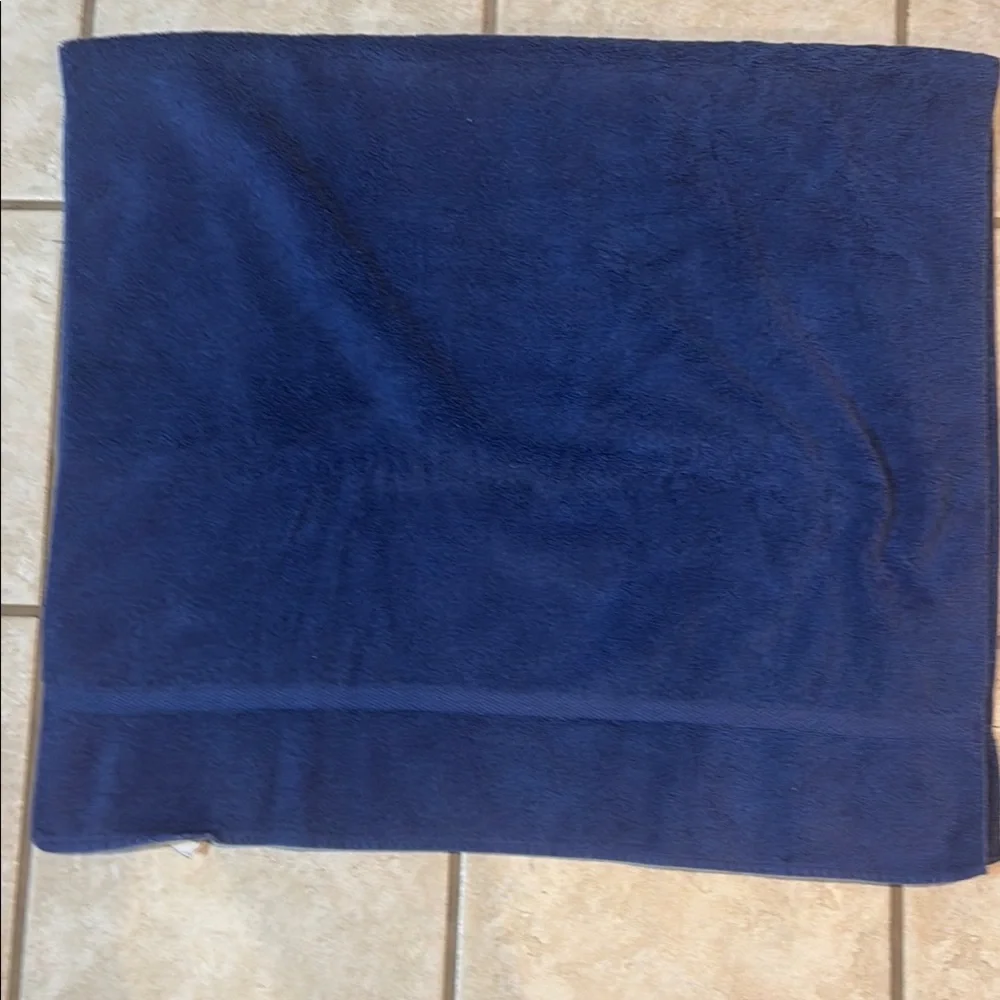 Royal Velvet Vintage Blue Bath Towel USA Cotton